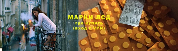 сатива Новодвинск