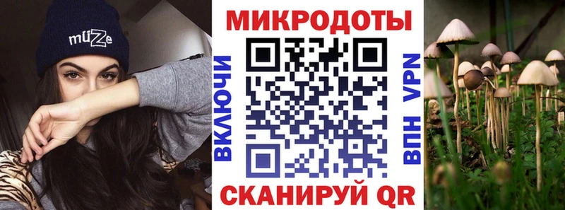 Галлюциногенные грибы мицелий  Павловский Посад 